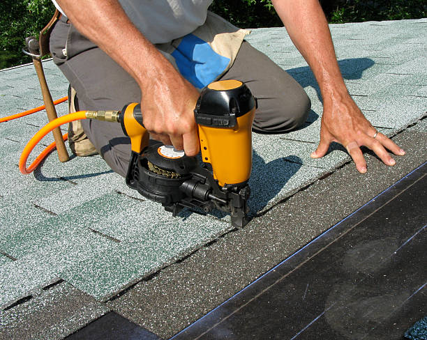 Best Storm Damage Roof Repair  in Jasper, AL